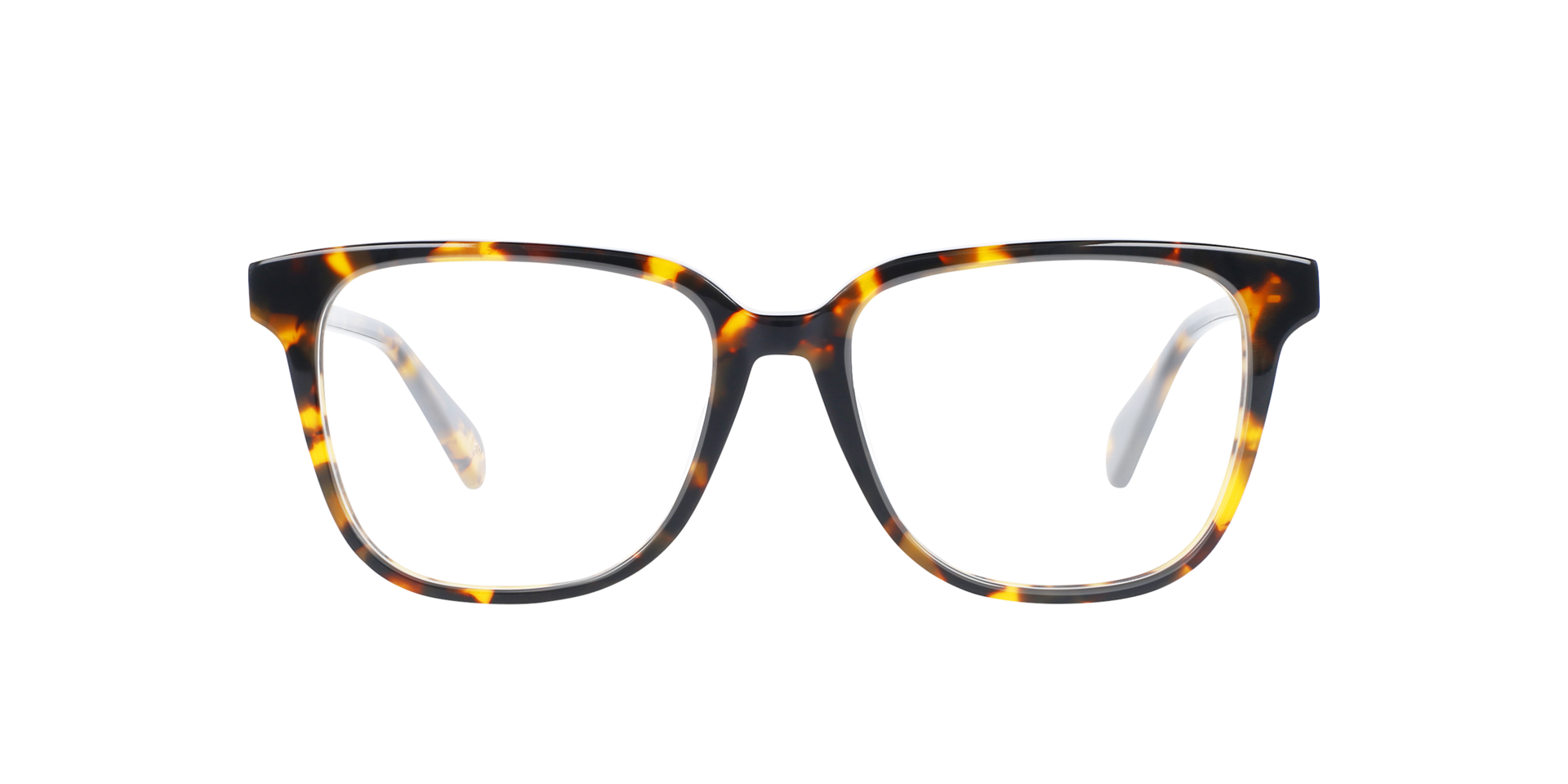 Paxton Garnet Havana AcetaatEyeglass Frames van B24, Vooraanzicht