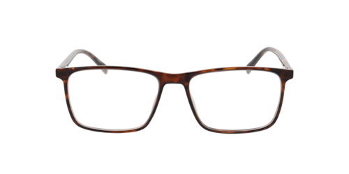 Brille24 - Rockford, Herren, Havana/Black / Crystal/Grey Havana / Crystal Grey, Größe: Large