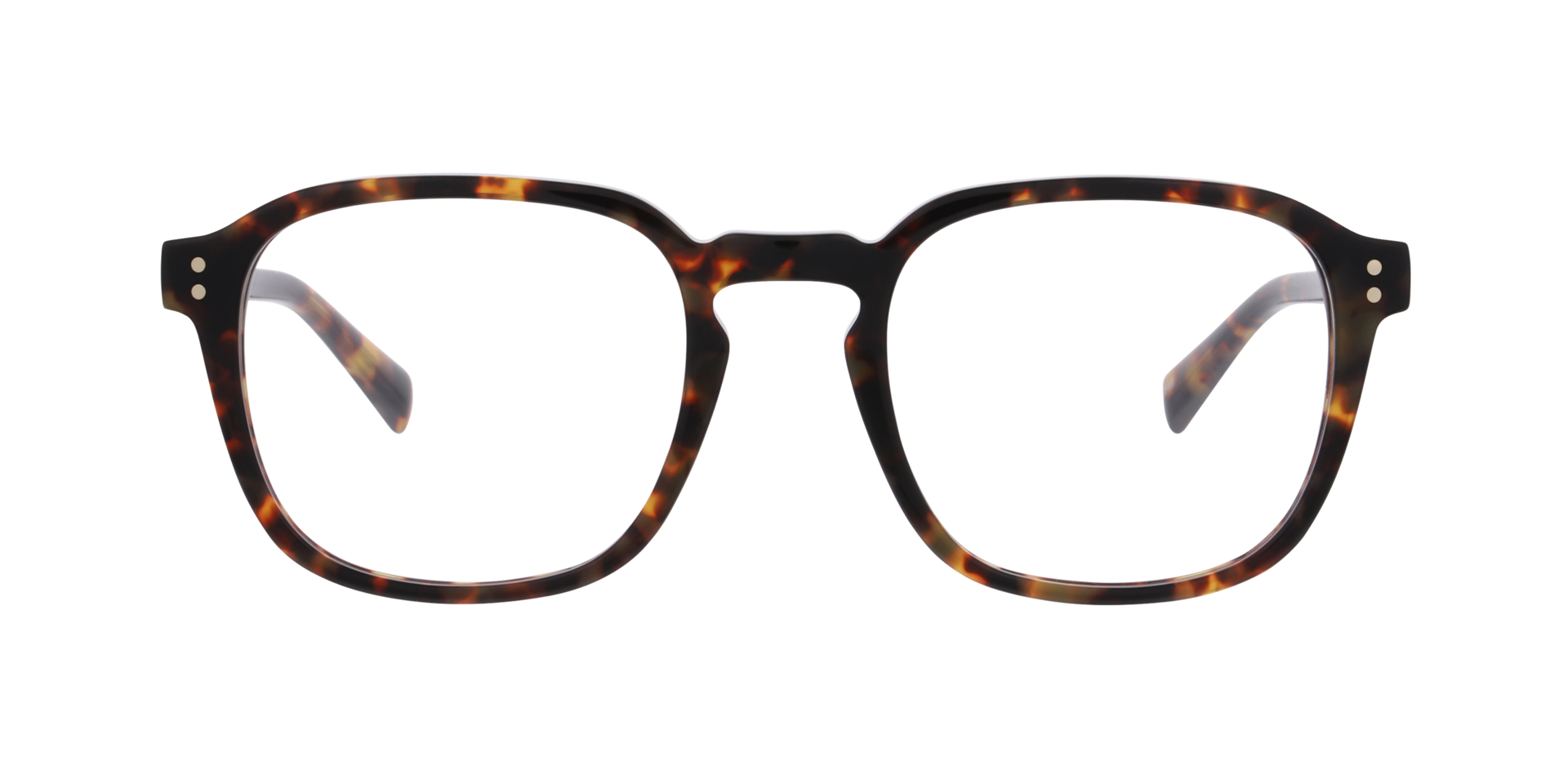 Echo Havana AcetatEyeglass Frames von B24, Vorderansicht