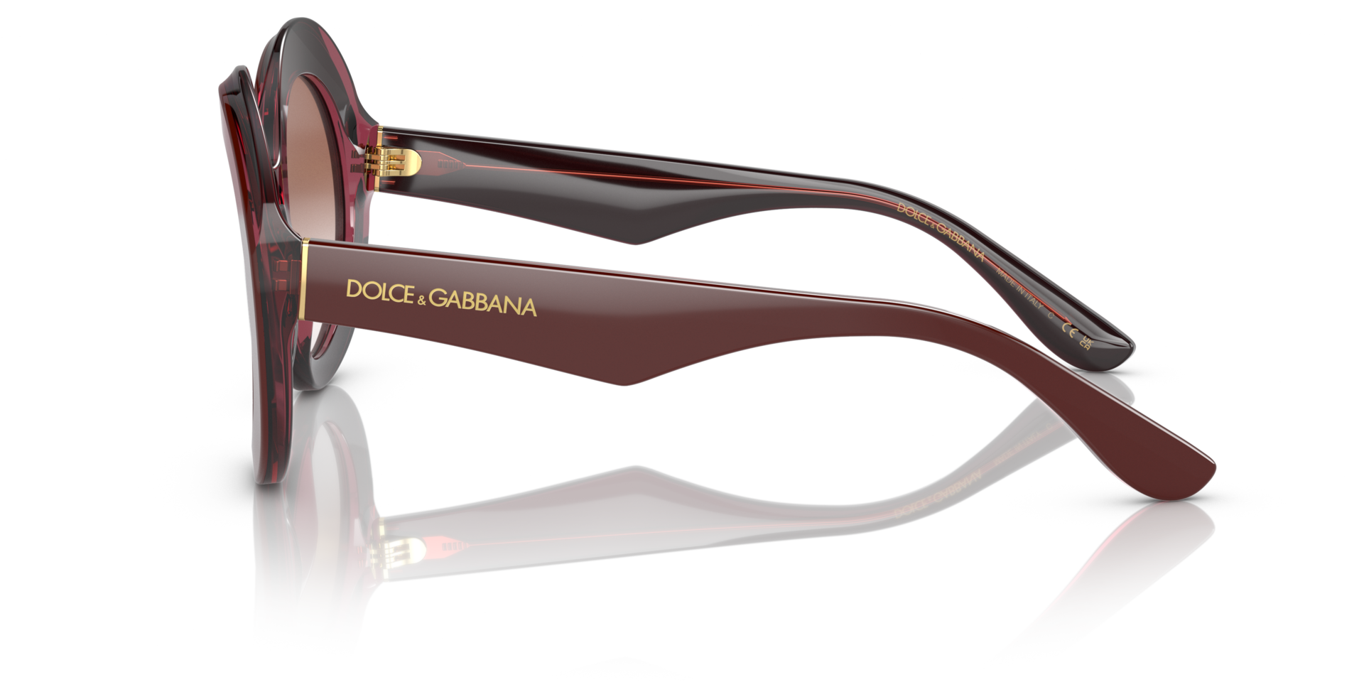 DG4418 Bordeaux & Bordeaux transparent AcetatSunglass Frames von B24, Seitenansicht