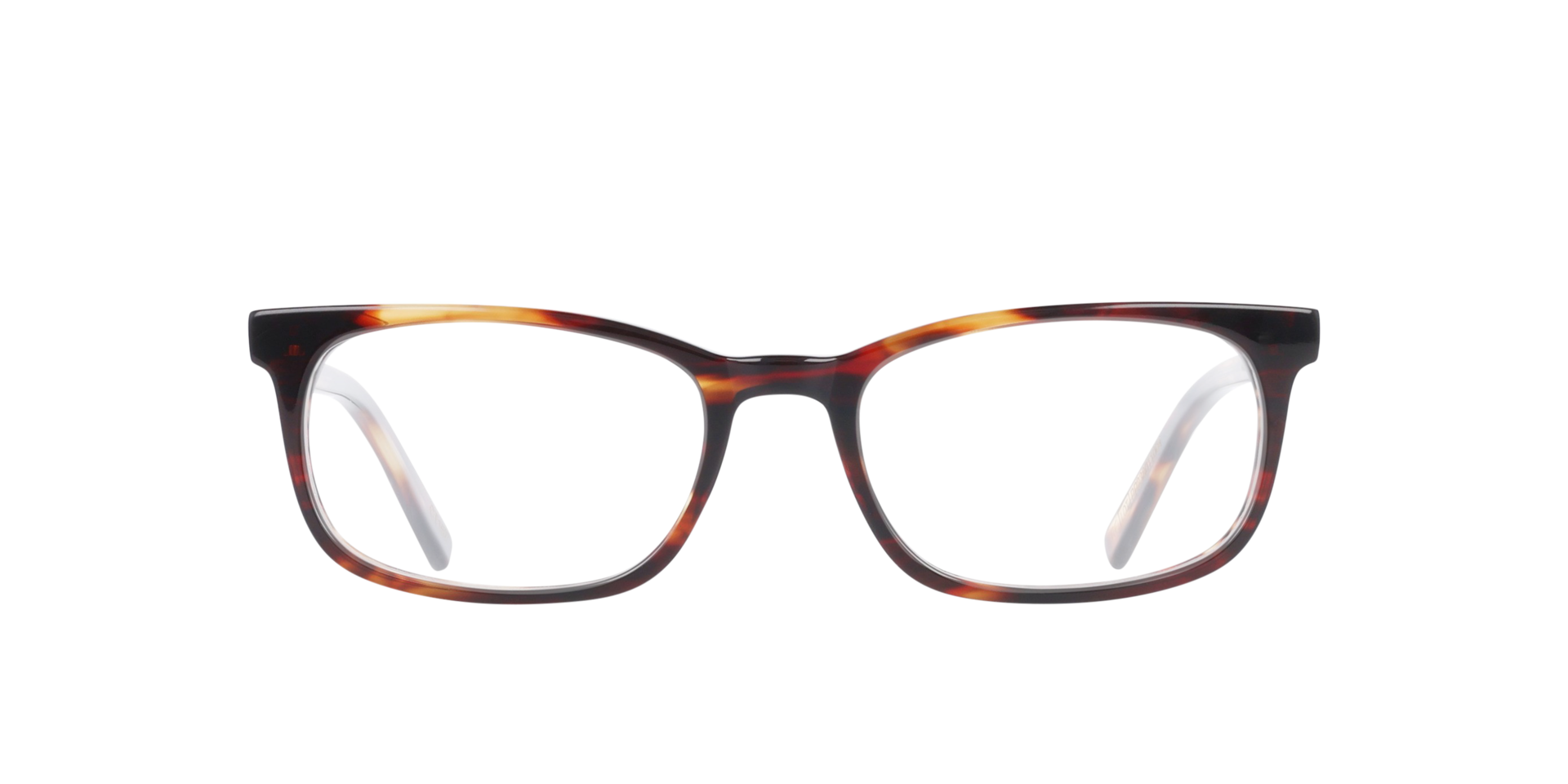 Teddy Classic Tortoise AcetatEyeglass Frames von B24, Vorderansicht