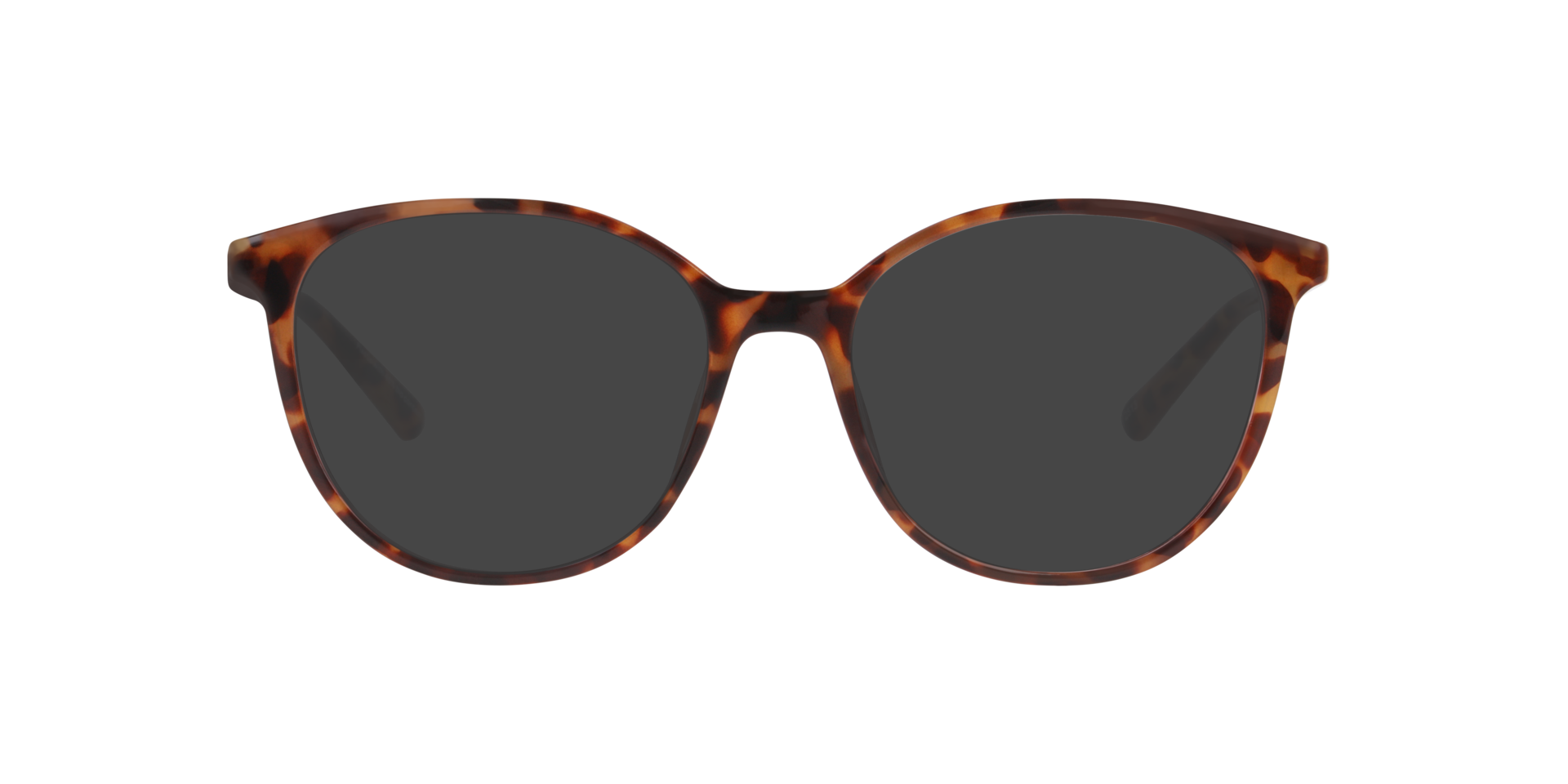 Riga Havana KunststoffEyeglass Frames von B24, mit getönten Gläsern