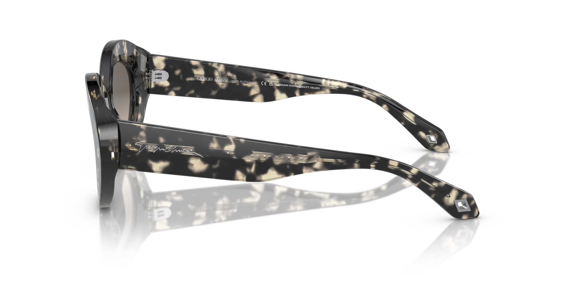AR8188 Havana Grau AcetatSunglass Frames von B24, Seitenansicht