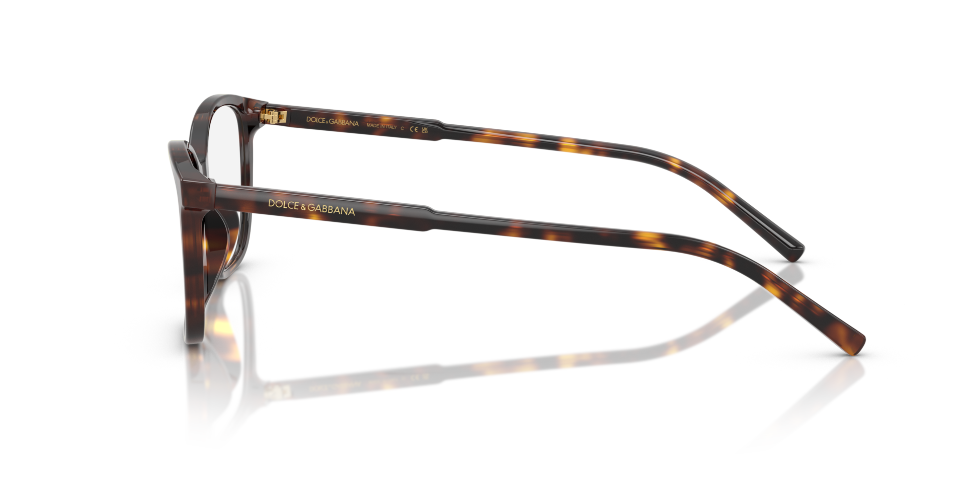 DG3424 Havana AcetatEyeglass Frames von B24, Seitenansicht