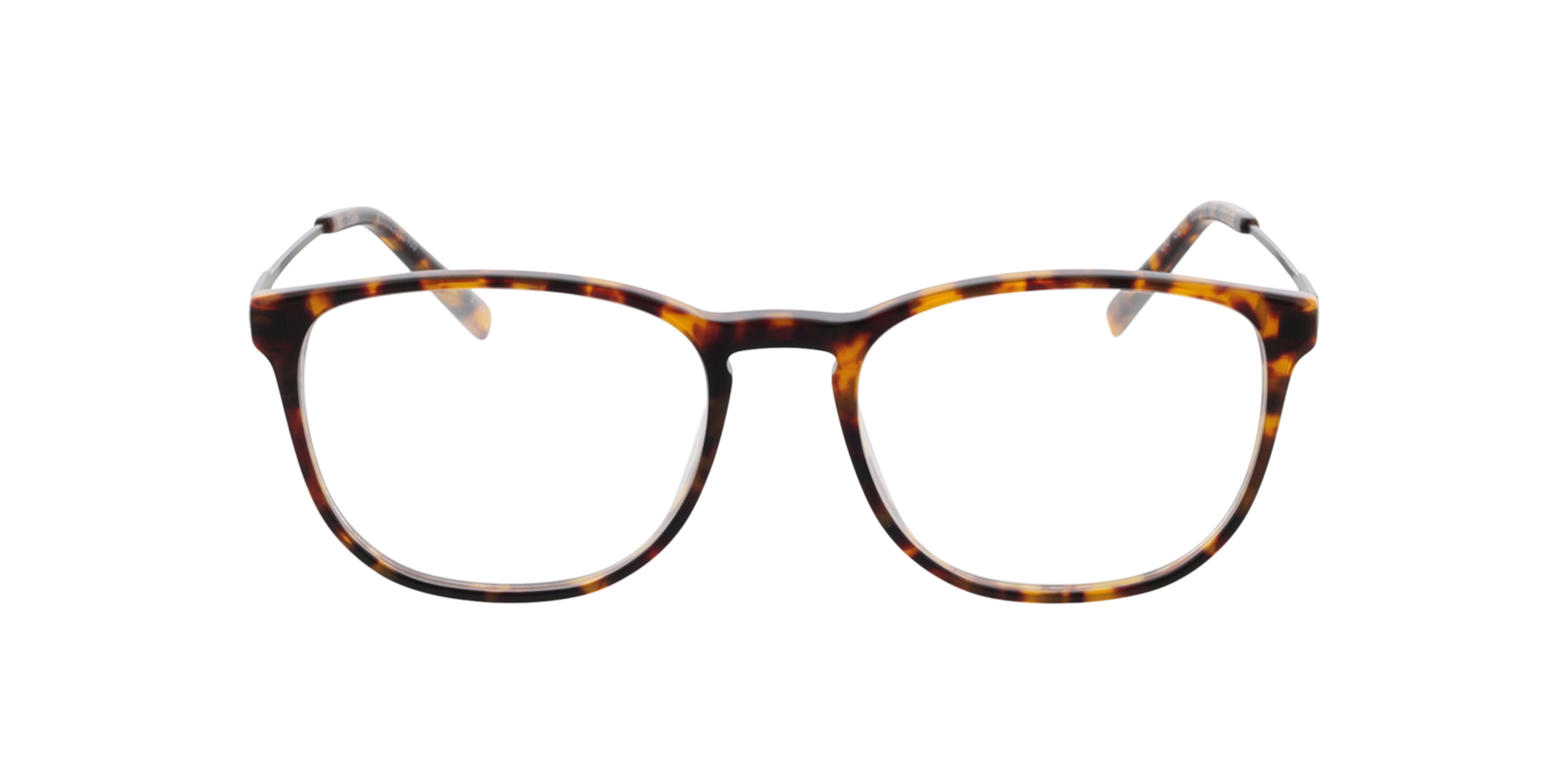 Dustin Havana  &  Matt Dark Green AcetatEyeglass Frames von B24, Vorderansicht
