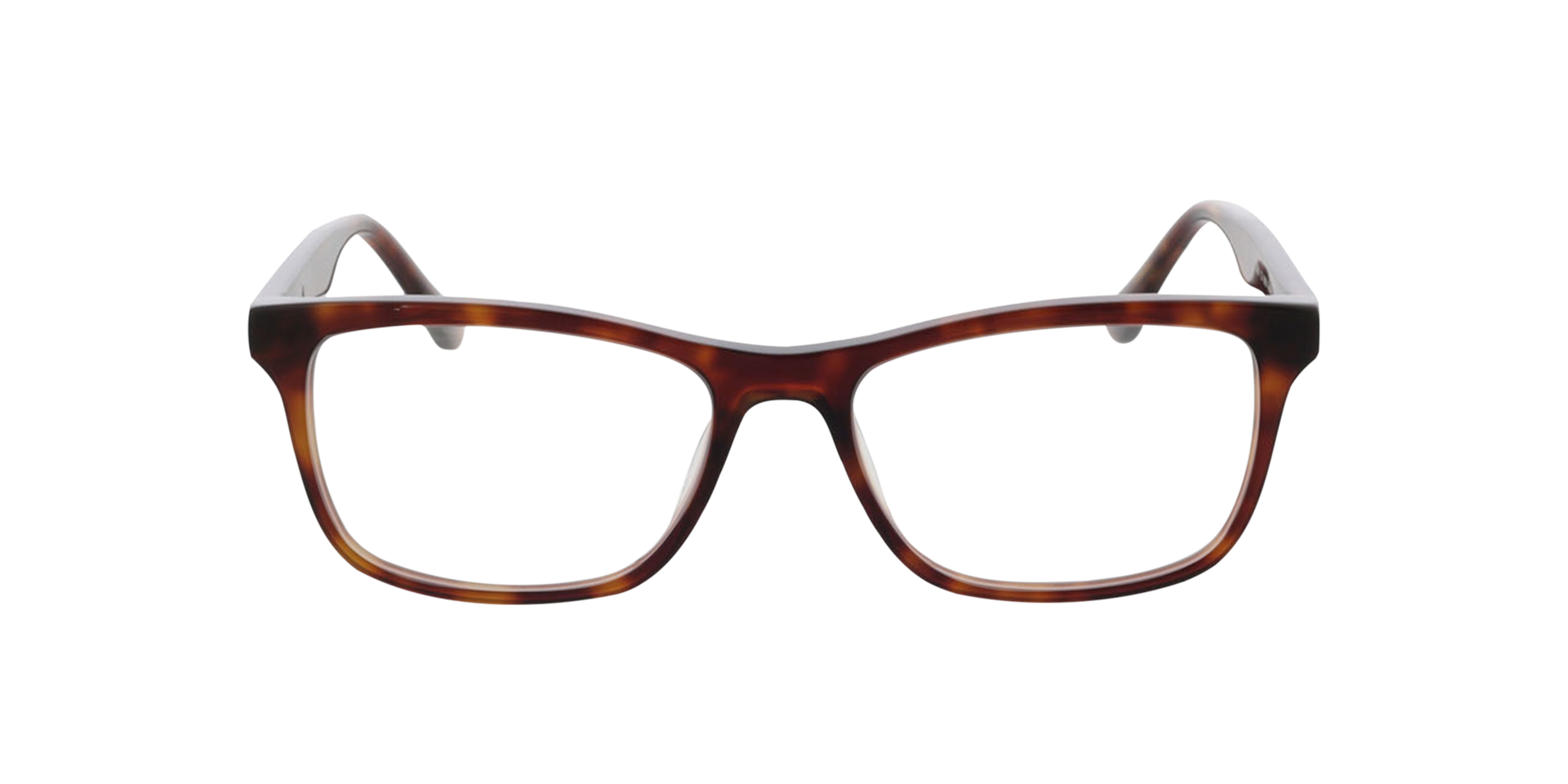 Bruin Recife -  Acetate Brillen