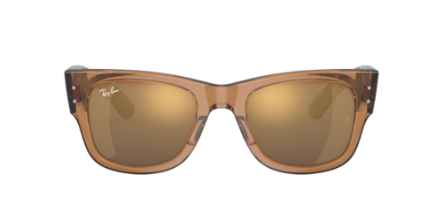 Ray-Ban - RB0840S, Braun transparent/Transparent Brown/Black, Größe: Large