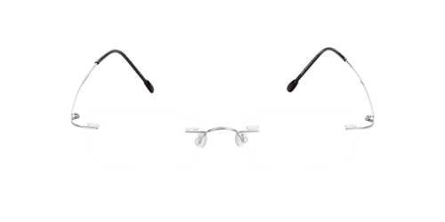 Brille24 - Davos, Herren, Silber/Anthracite/Brown, Größe: Small