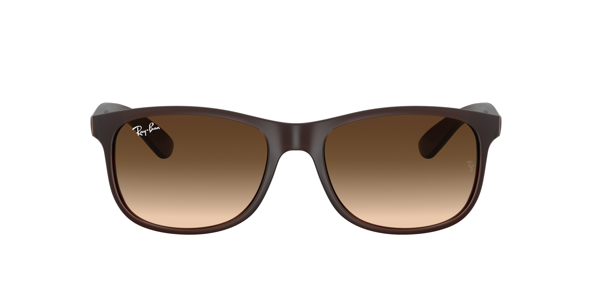 Bruin RB4202 -  Plastic Zonnebrillen