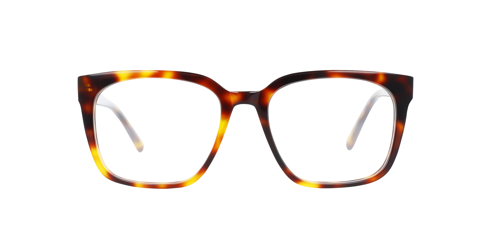 Luca Havana Cigars AcetatEyeglass Frames von B24, Vorderansicht