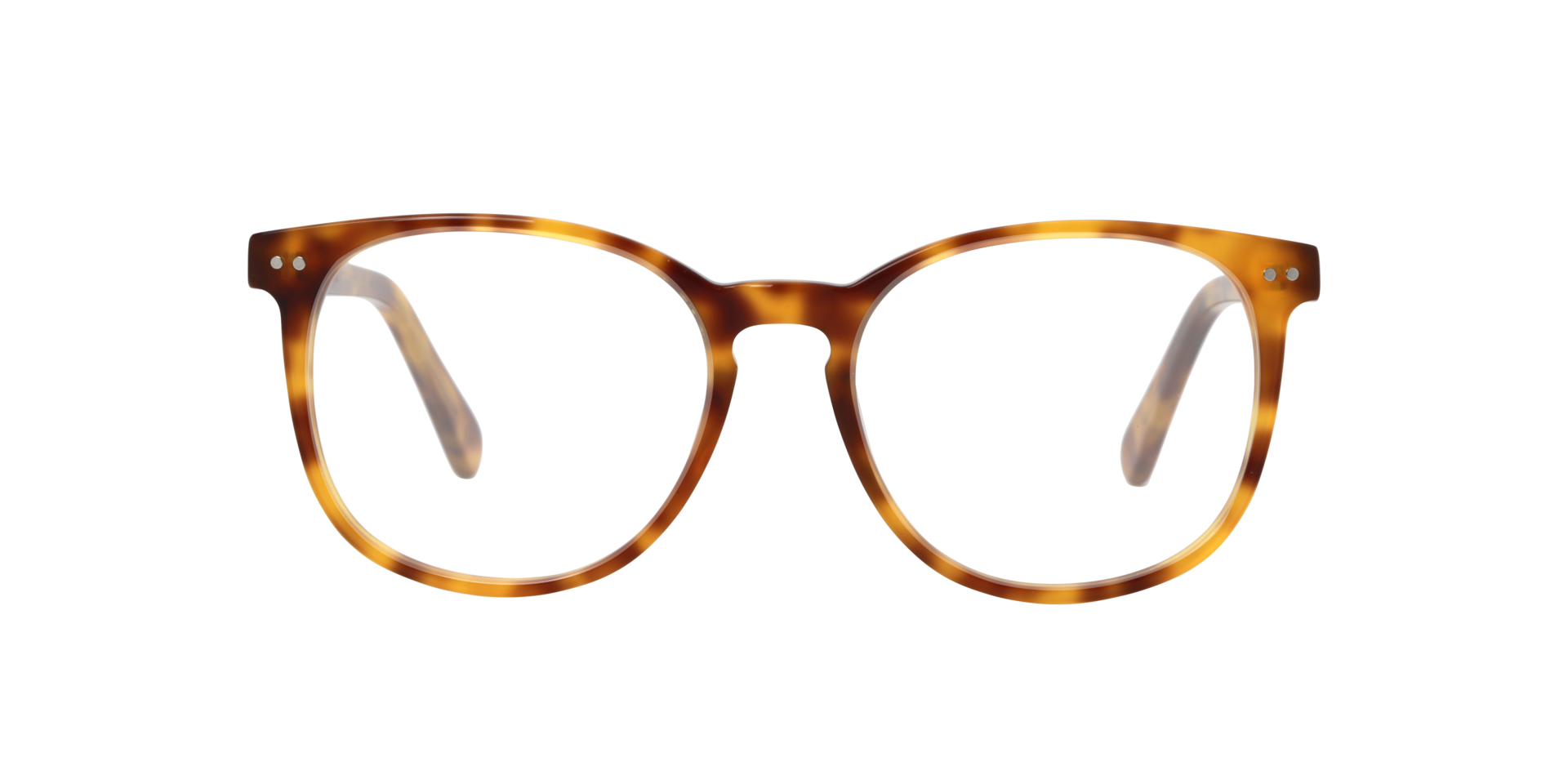 BARRON Hazel Tortoise AcetaatEyeglass Frames van B24, Vooraanzicht