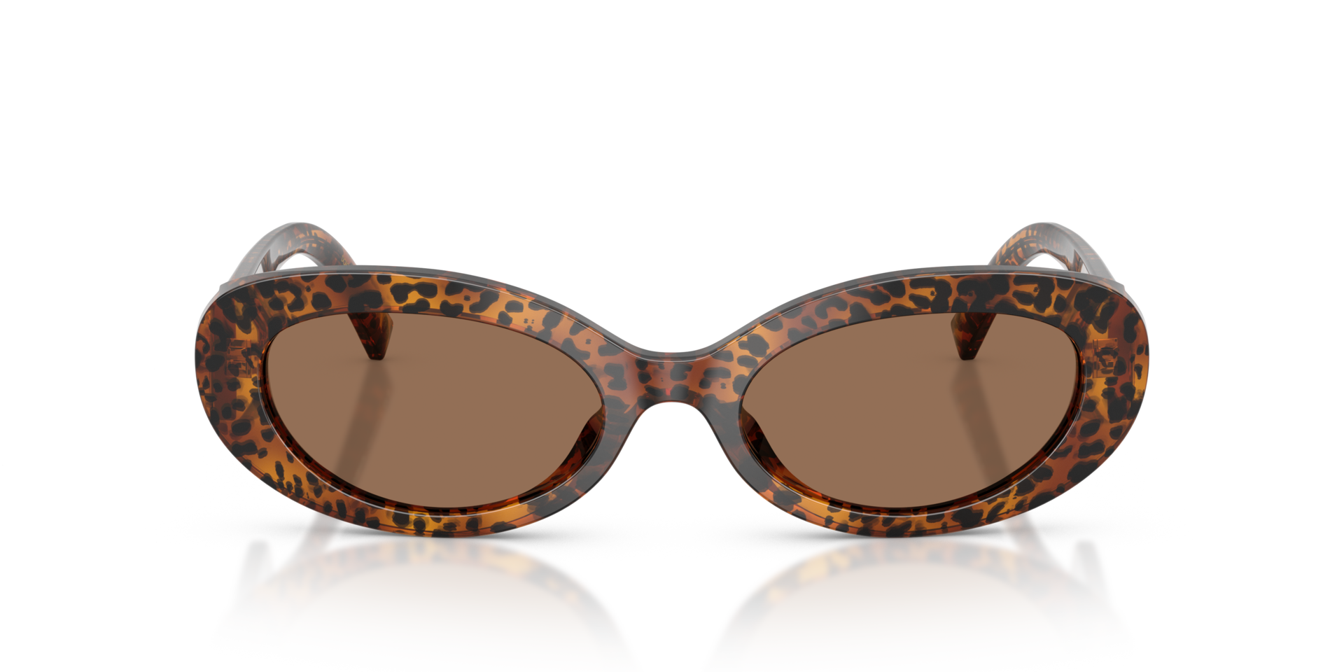 DG4537 Leo Transparent AcetatSunglass Frames von B24, Vorderansicht
