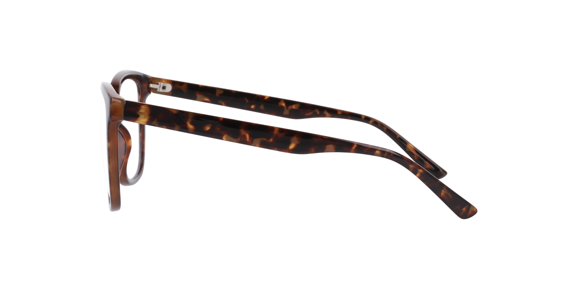 New Mexico Havana KunststofEyeglass Frames van B24, Zijaanzicht