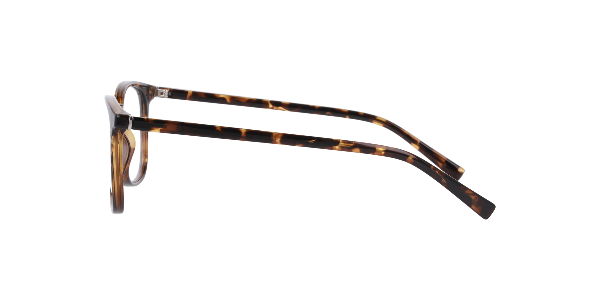Nevada Havana KunststofEyeglass Frames van B24, Zijaanzicht