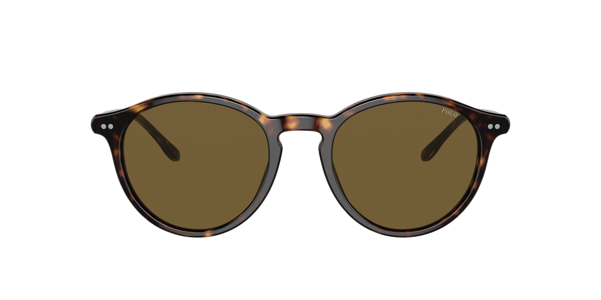 PH4193 Glänzendes Dunkelhavana AcetatSunglass Frames von B24, mit getönten Gläsern