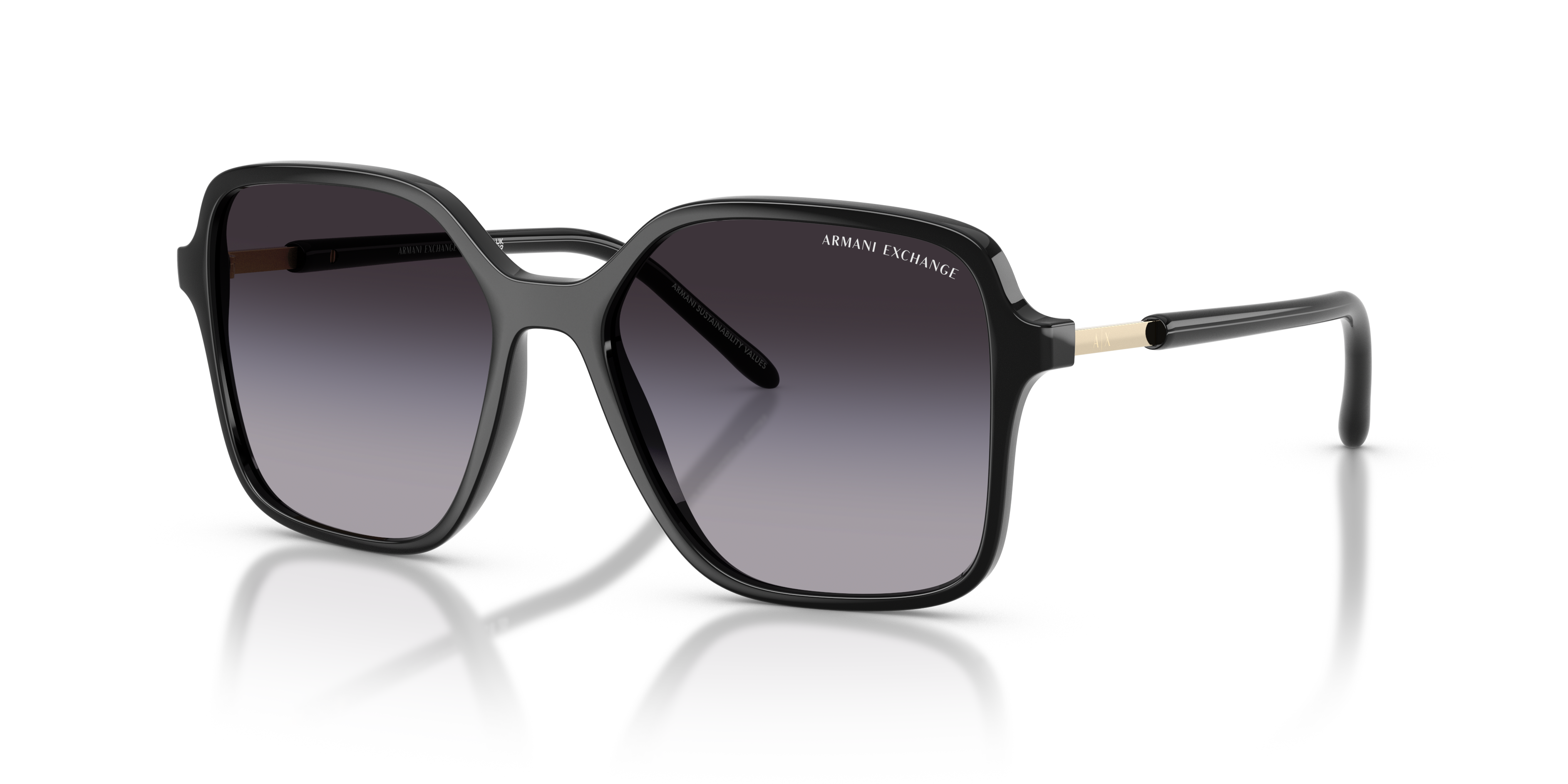 AX4163S