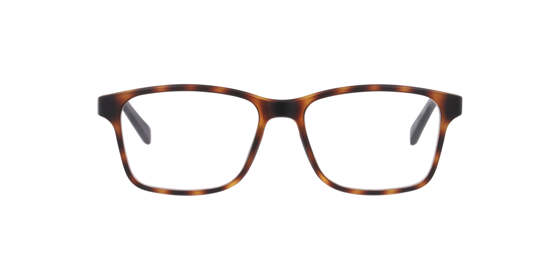 Buffalo Havana KunststofEyeglass Frames van B24, Vooraanzicht