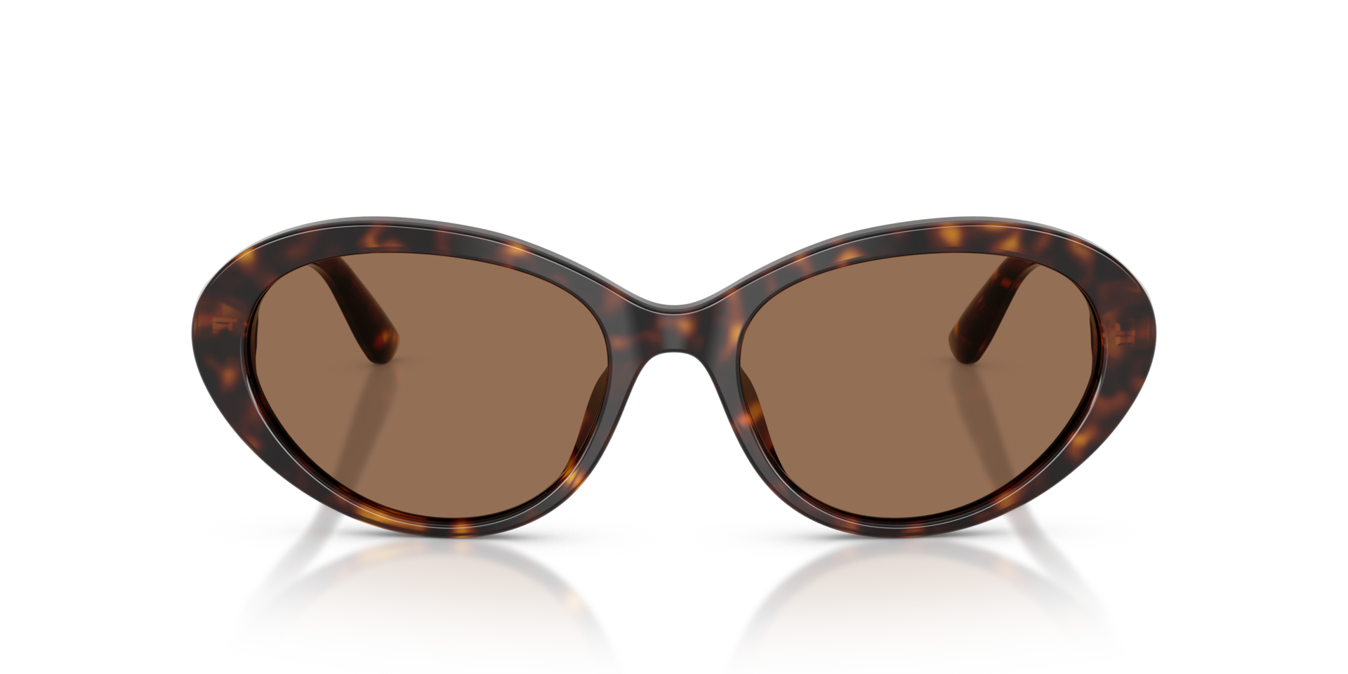 DG4570 Havana AcetaatSunglass Frames van B24, Vooraanzicht