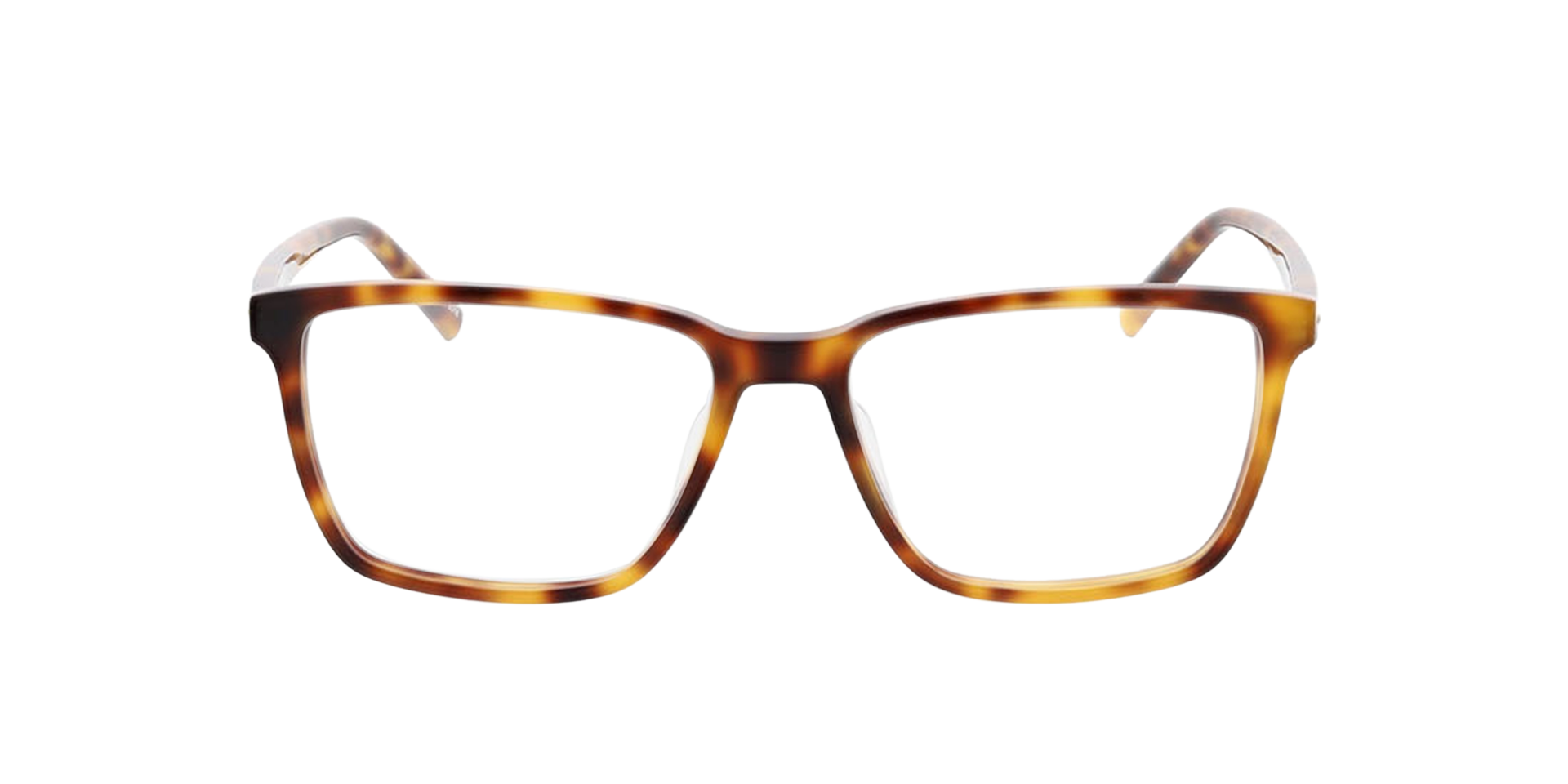Teneriffa Havana AcetaatEyeglass Frames van B24, Vooraanzicht