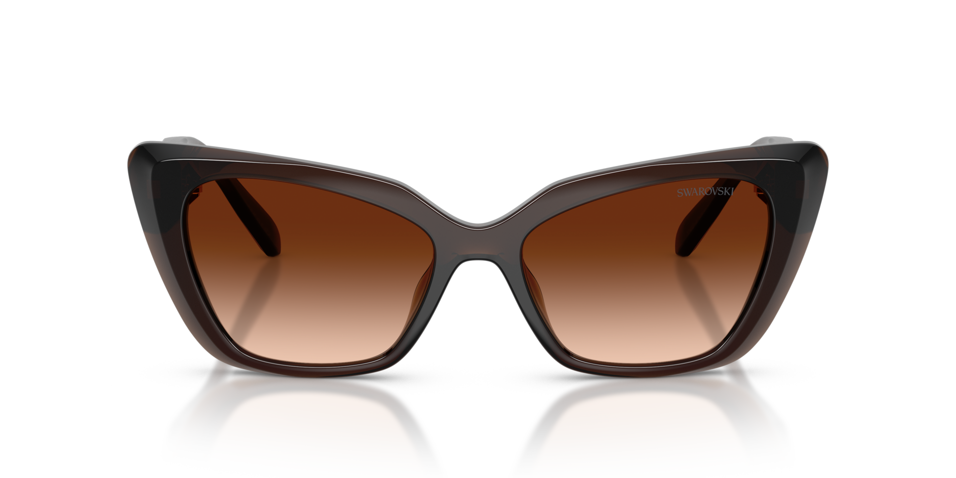SK6047 Braun transparent KunststoffSunglass Frames von B24, Vorderansicht