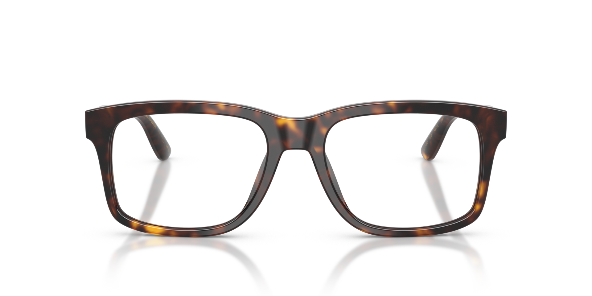 DG3453 Havana AcetatEyeglass Frames von B24, Vorderansicht