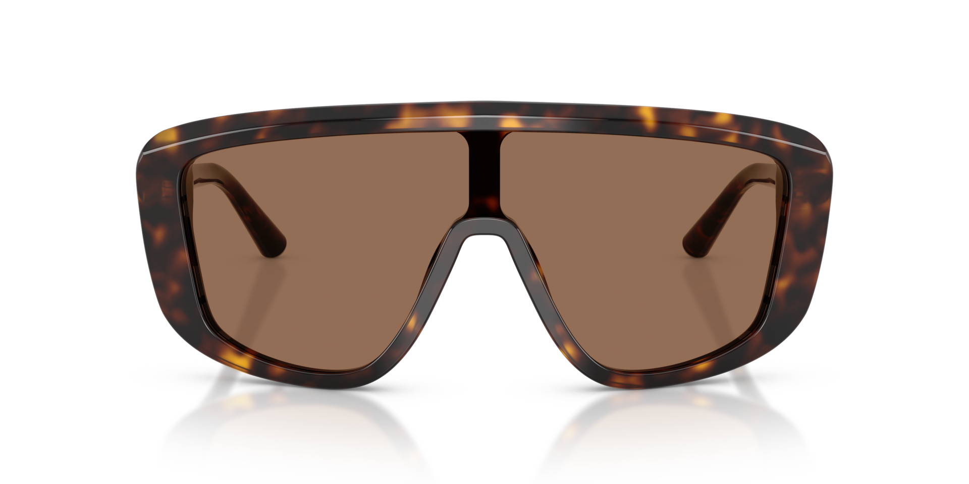 DG4520 Havana AcetatSunglass Frames von B24, Vorderansicht