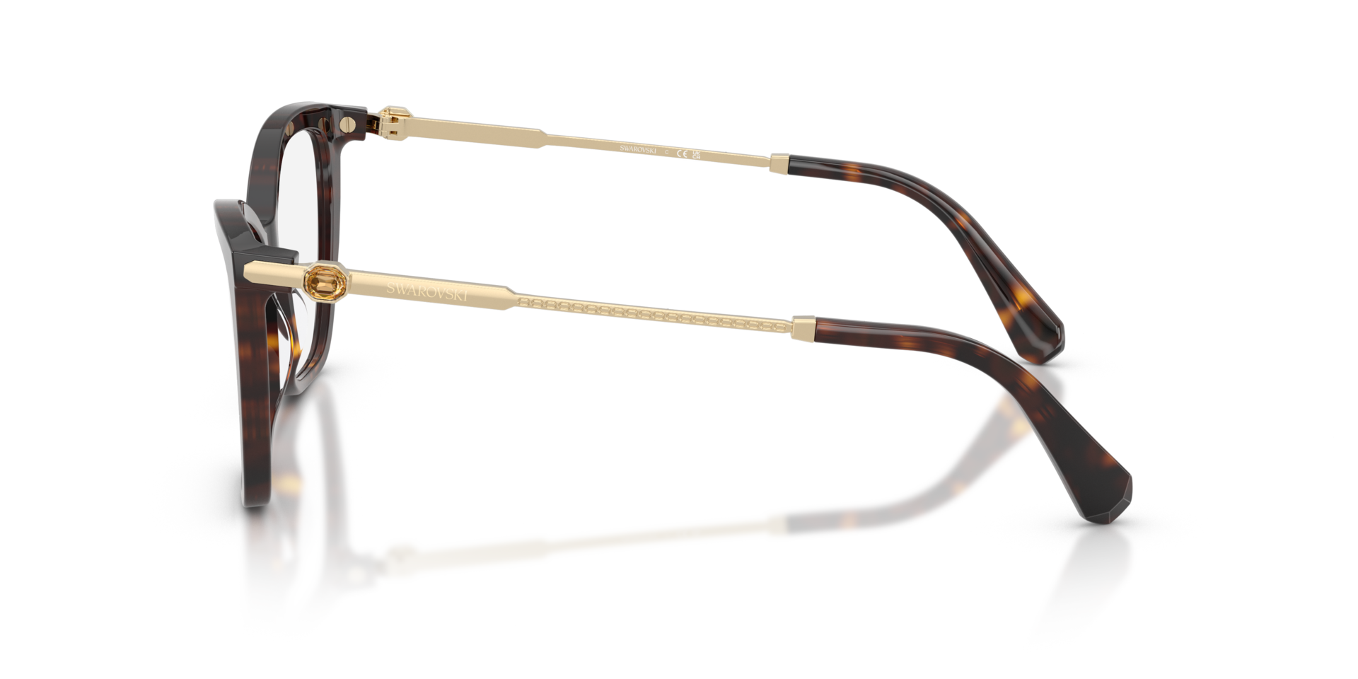SK2051 Havana AcetatEyeglass Frames von B24, Seitenansicht