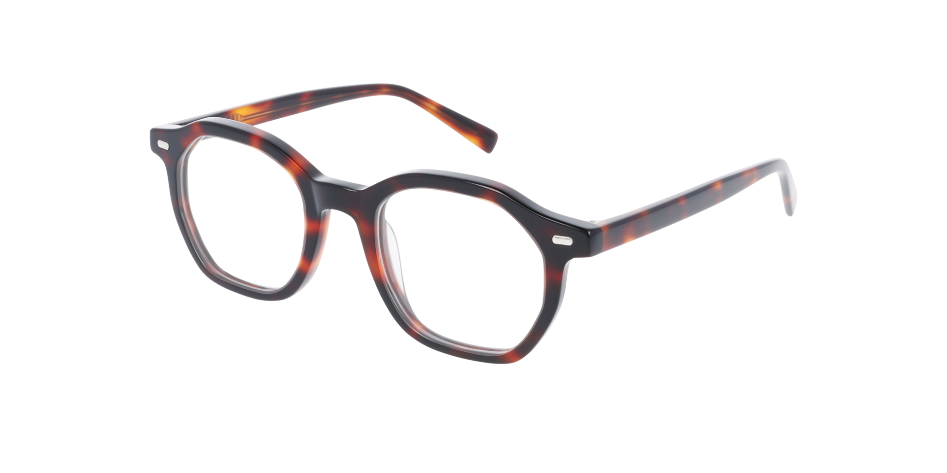 Miles Havana Braun AcetatEyeglass Frames von B24, Dreiviertelansicht