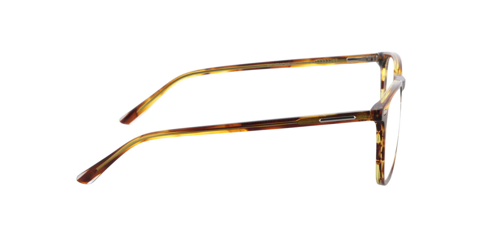 Noah Braun Hornfarben AcetatEyeglass Frames von B24, Seitenansicht
