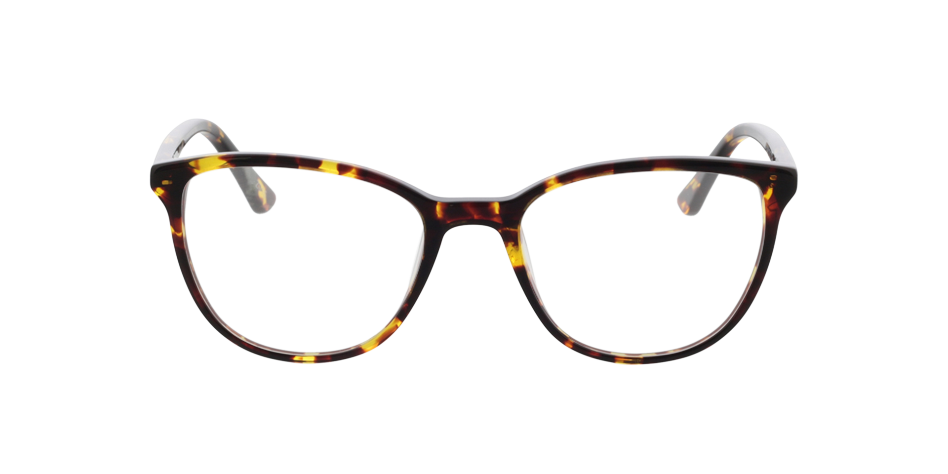 Waverly Havana AcetatEyeglass Frames von B24, Vorderansicht