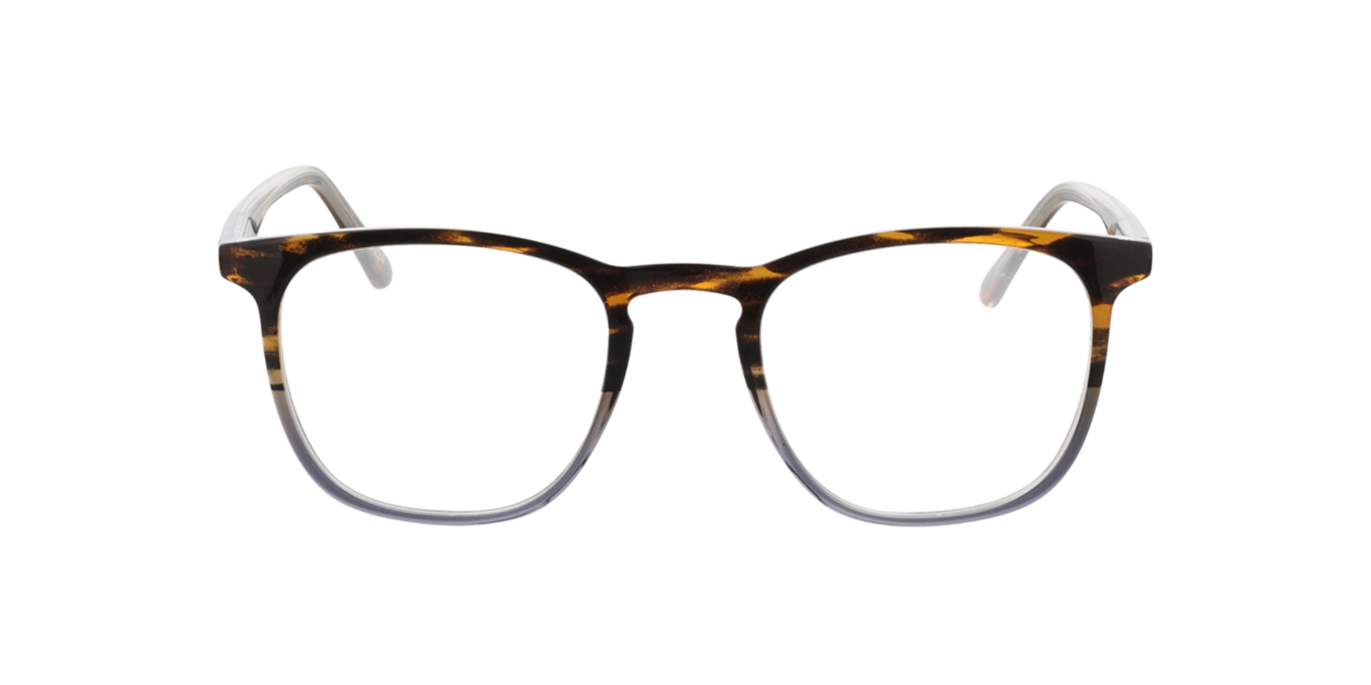 Utah Gradient Havana Blue  &  Havana AcetatEyeglass Frames von B24, Vorderansicht