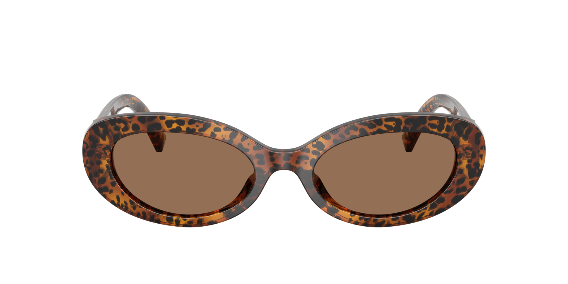 DG4537 Leo Transparent AcetatSunglass Frames von B24, mit getönten Gläsern
