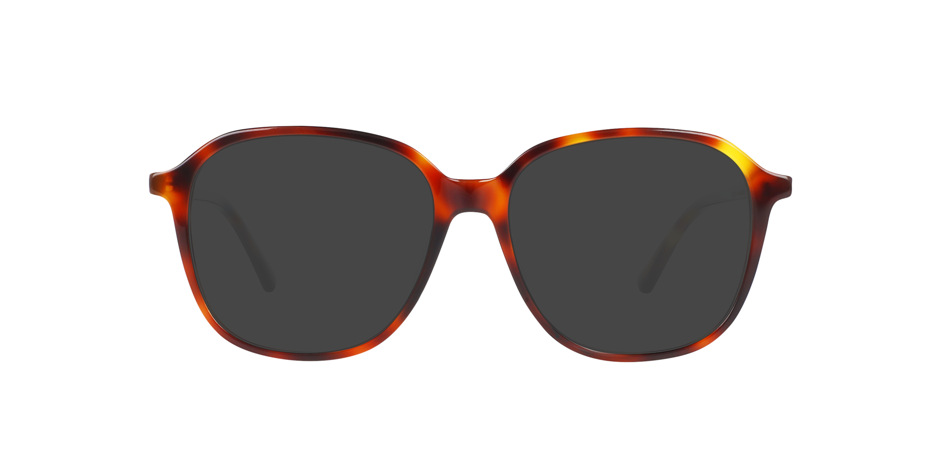 Colette Havana Cigars AcetaatEyeglass Frames van B24, met getinte lenzen