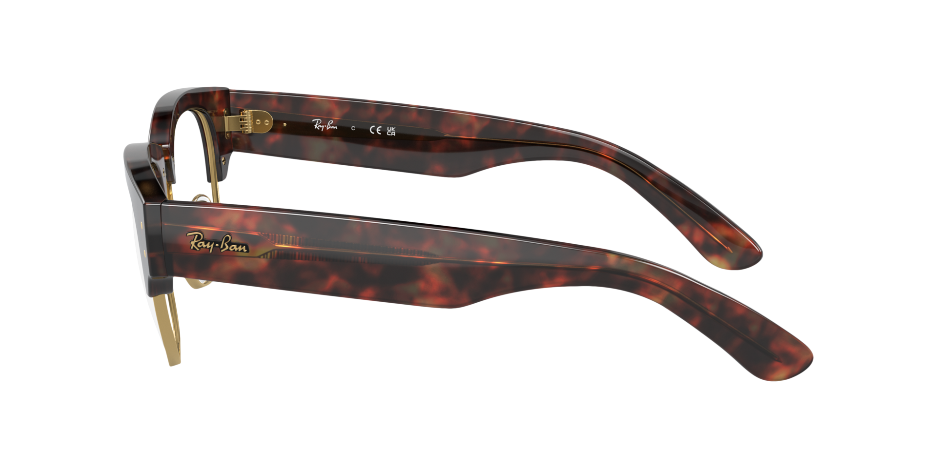 RB0316V Tortoise op goud KunststofEyeglass Frames van B24, Zijaanzicht