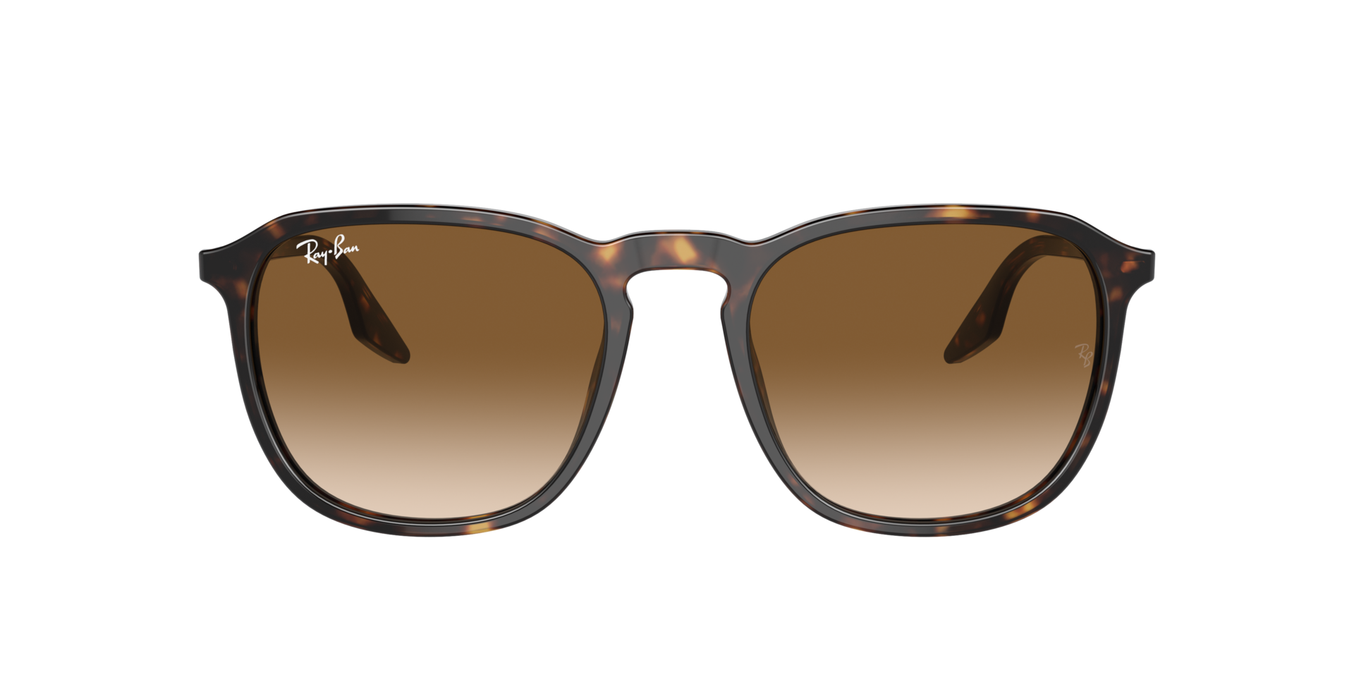 RB2203 Havana AcetaatSunglass Frames van B24, met getinte lenzen