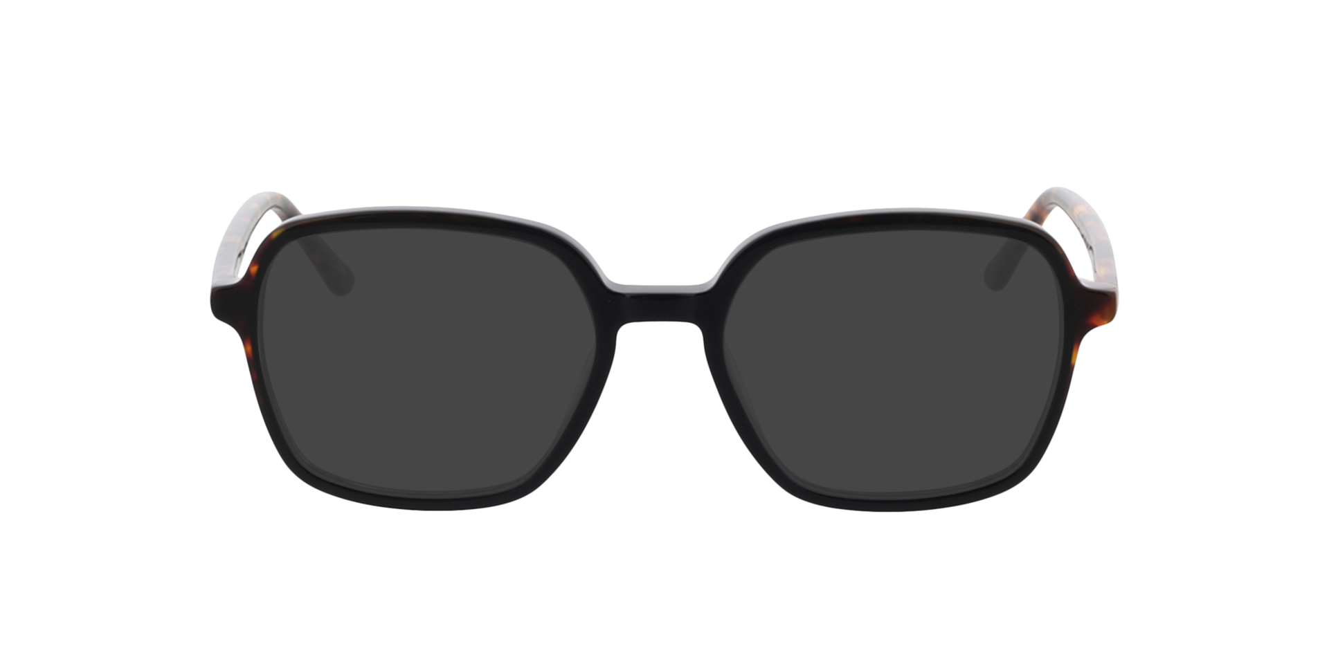 Maxine Havana  &  zwart  &  Havana AcetaatEyeglass Frames van B24, met getinte lenzen