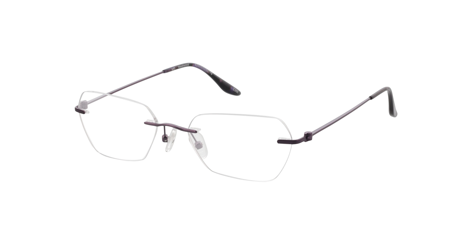 Westwood Matpaars MetaalEyeglass Frames van B24, Hoekweergave