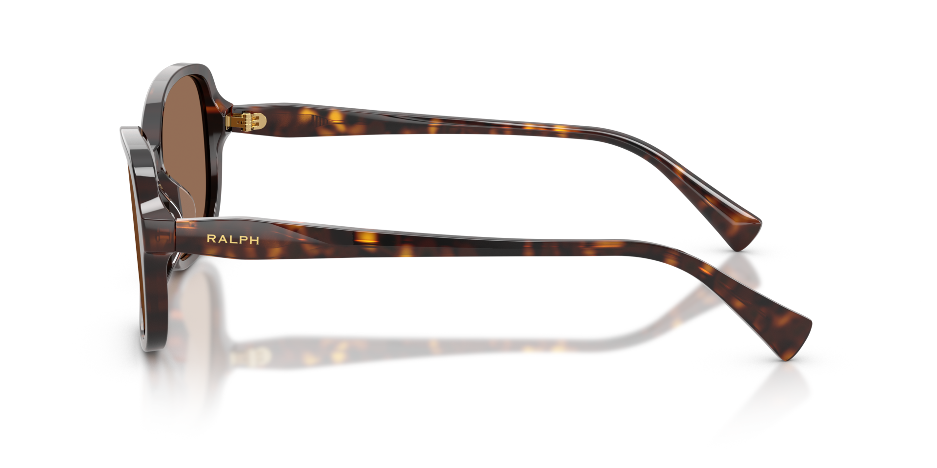 RA5351U Glänzendes Dunkelhavana AcetatSunglass Frames von B24, Seitenansicht