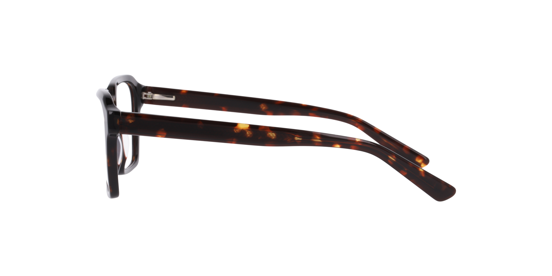 Stavanger Havana AcetatEyeglass Frames von B24, Seitenansicht