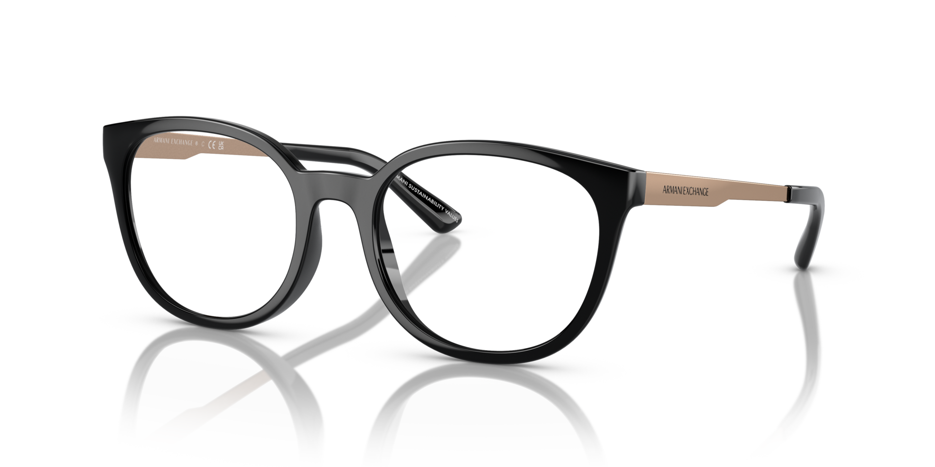 AX3104 Glanzend zwart KunststofEyeglass Frames van B24, Hoekweergave
