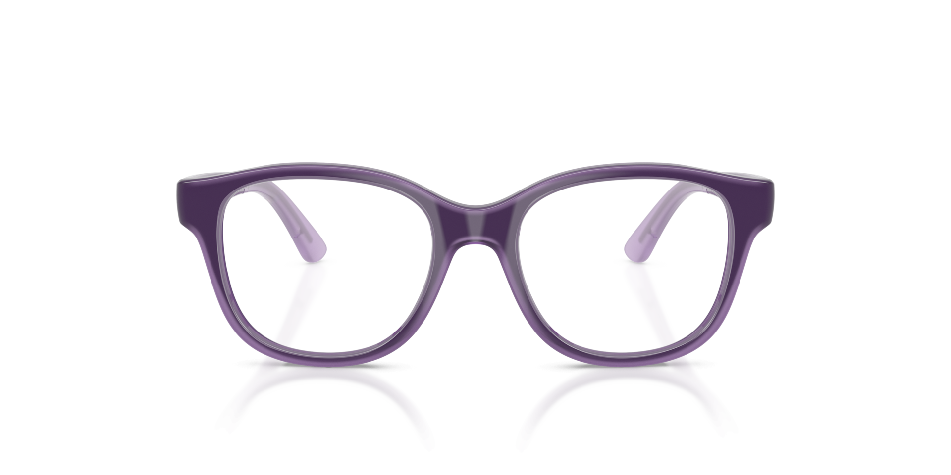 Violet On Transparent Violet RB1950 -  Plastic Brillen