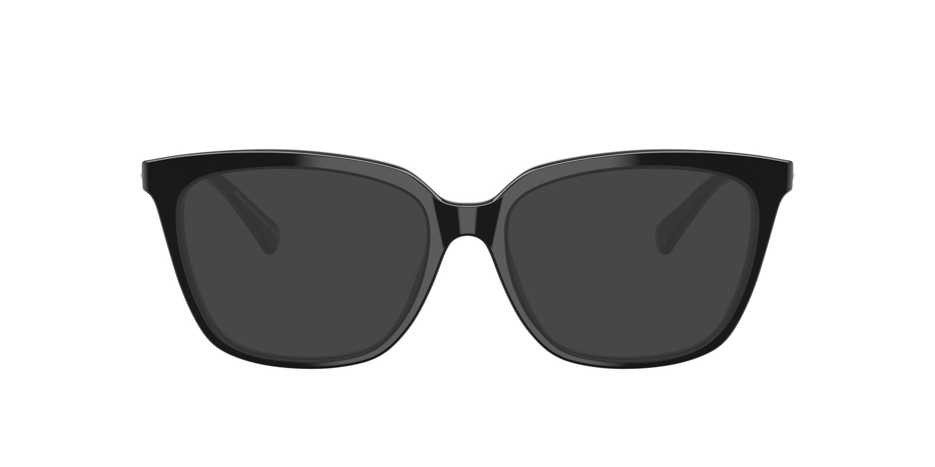 EA3248 Schwarz glänzend AcetatEyeglass Frames von B24, mit getönten Gläsern