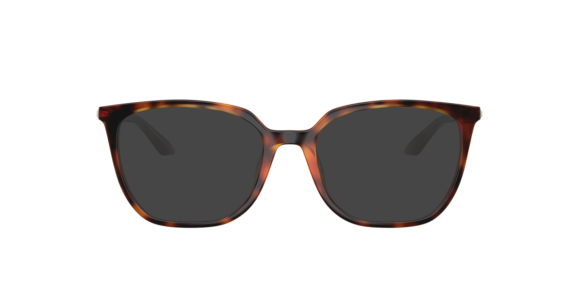 AX3142U Glanzend Havana KunststofEyeglass Frames van B24, met getinte lenzen