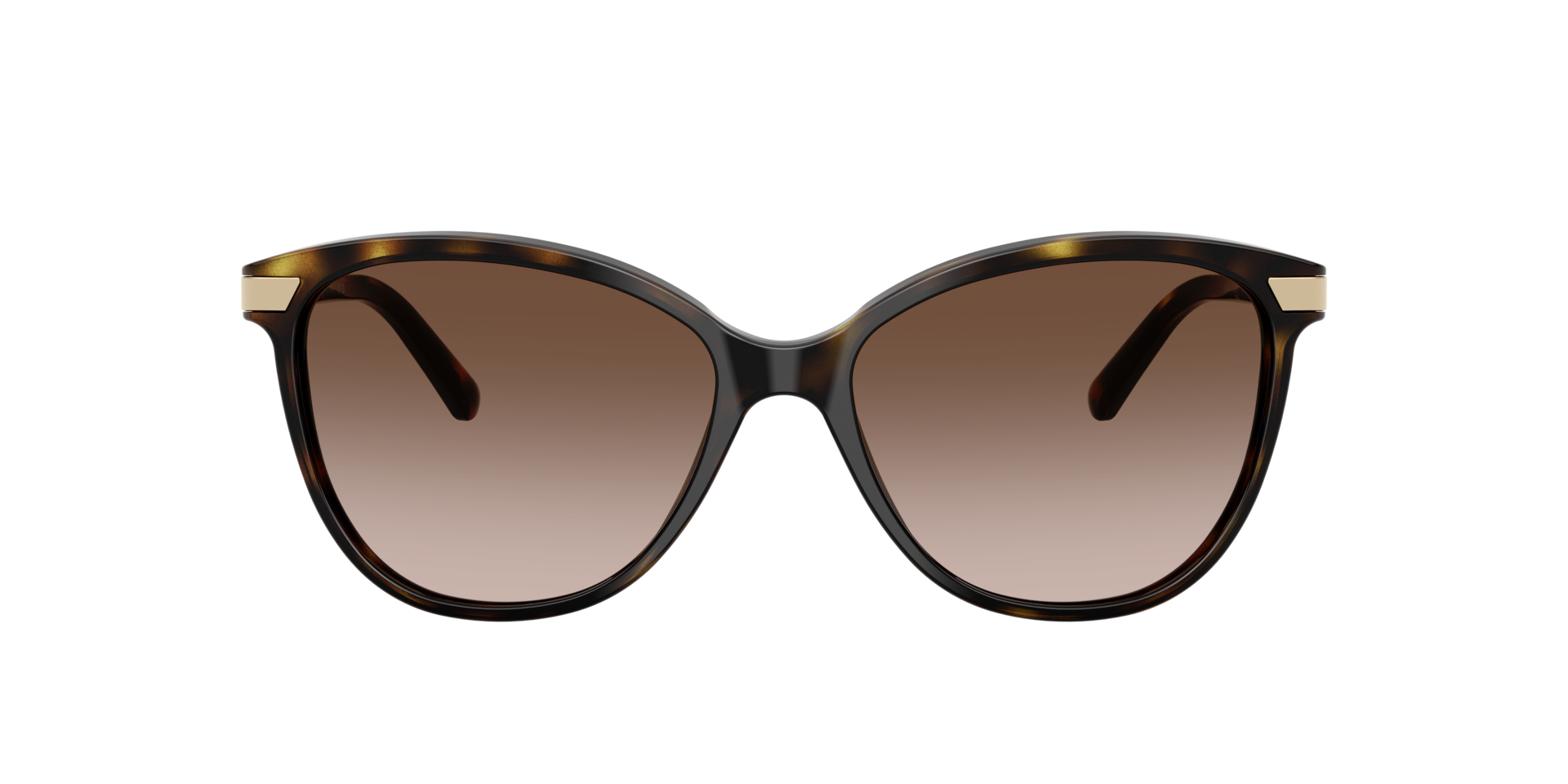 BE4216 Dunkelhavana AcetatSunglass Frames von B24, mit getönten Gläsern
