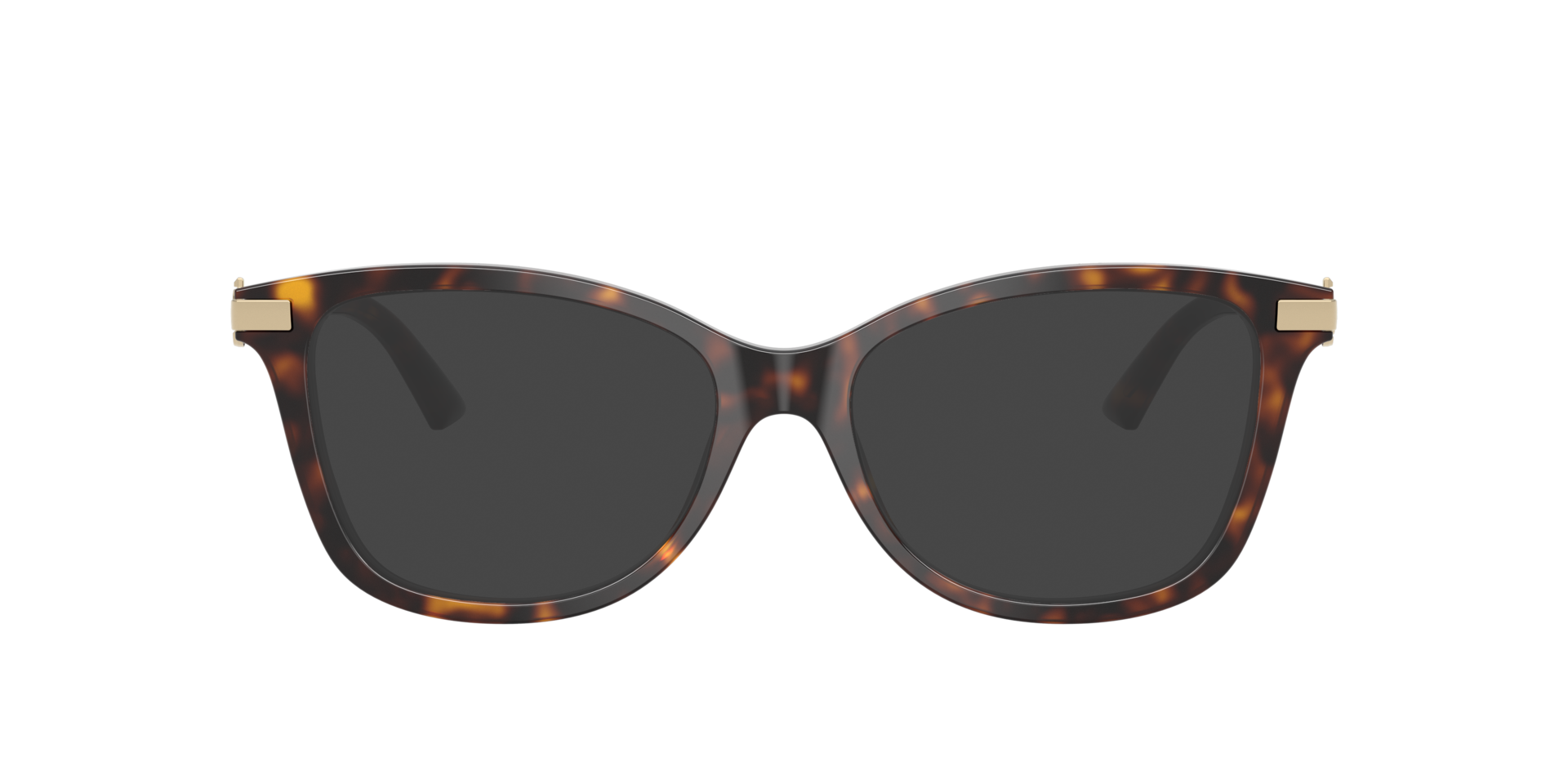 JC3068B Havana AcetatEyeglass Frames von B24, mit getönten Gläsern