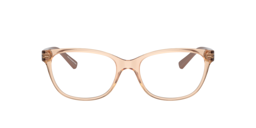 Armani Exchange - AX3037, Damen, Tundra glänzend transparent/Shiny Havana/Shiny Black, Größe: Durchschnittlich