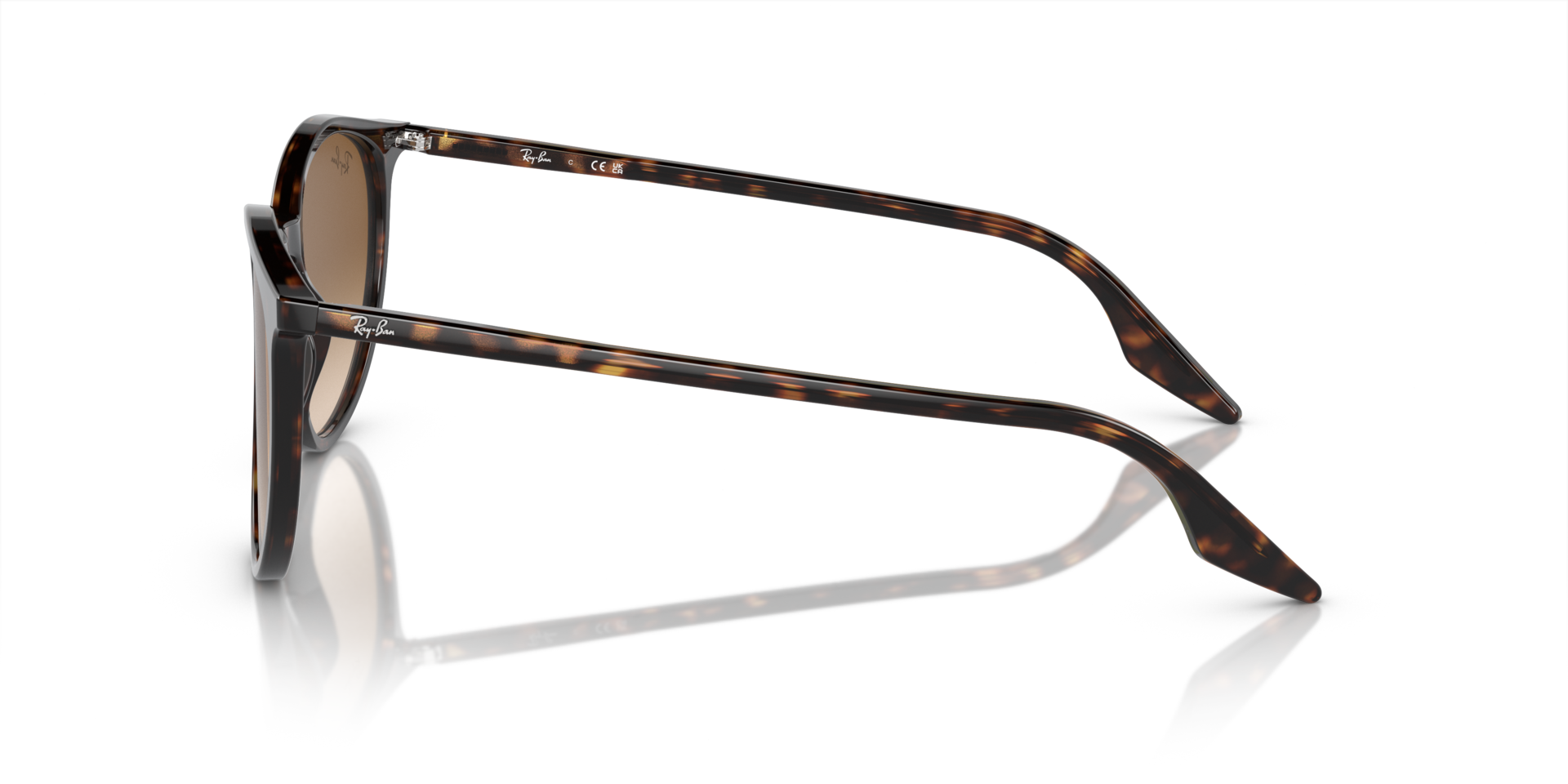 RB2204 Havana AcetatSunglass Frames von B24, Seitenansicht