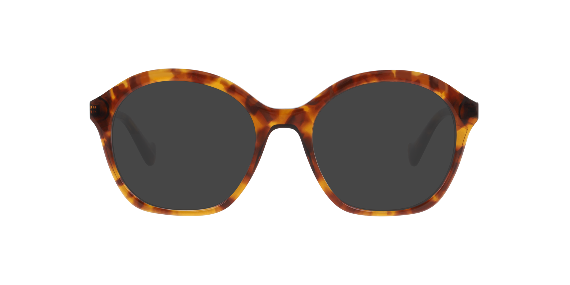 Kobe Havana AcetaatEyeglass Frames van B24, met getinte lenzen