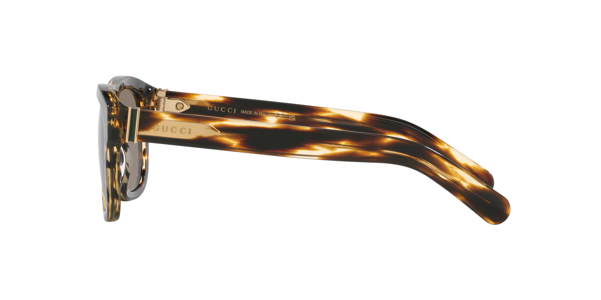 GG1509S Tortoise AcetatSunglass Frames von B24, Seitenansicht