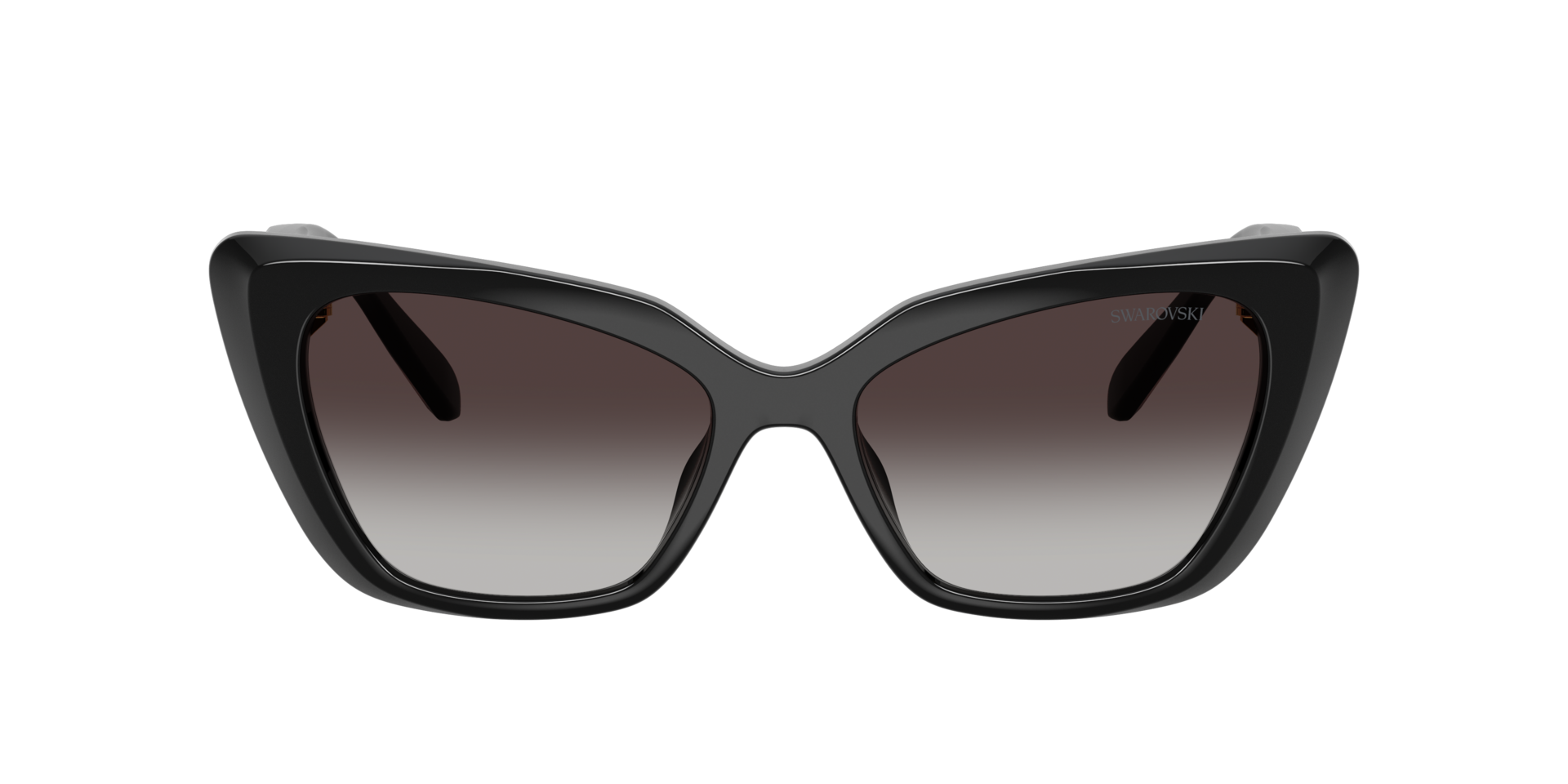SK6047 Schwarz KunststoffSunglass Frames von B24, mit getönten Gläsern